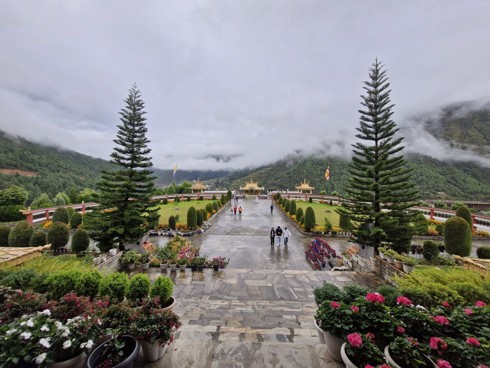 Our mission and values